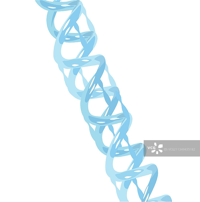 螺旋DNA模型3D结构图片素材