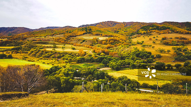 秋意浓图片素材