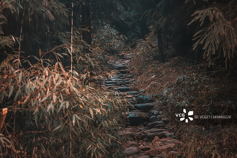 山与路图片素材