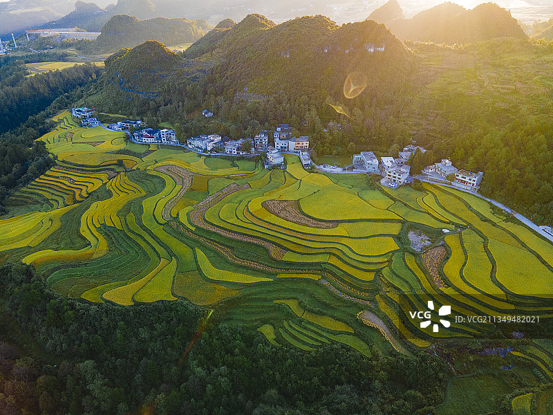 谷洒万亩梯田花海图片素材