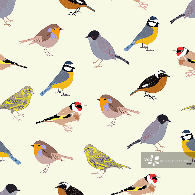 雀形鸟类无缝图案图片素材