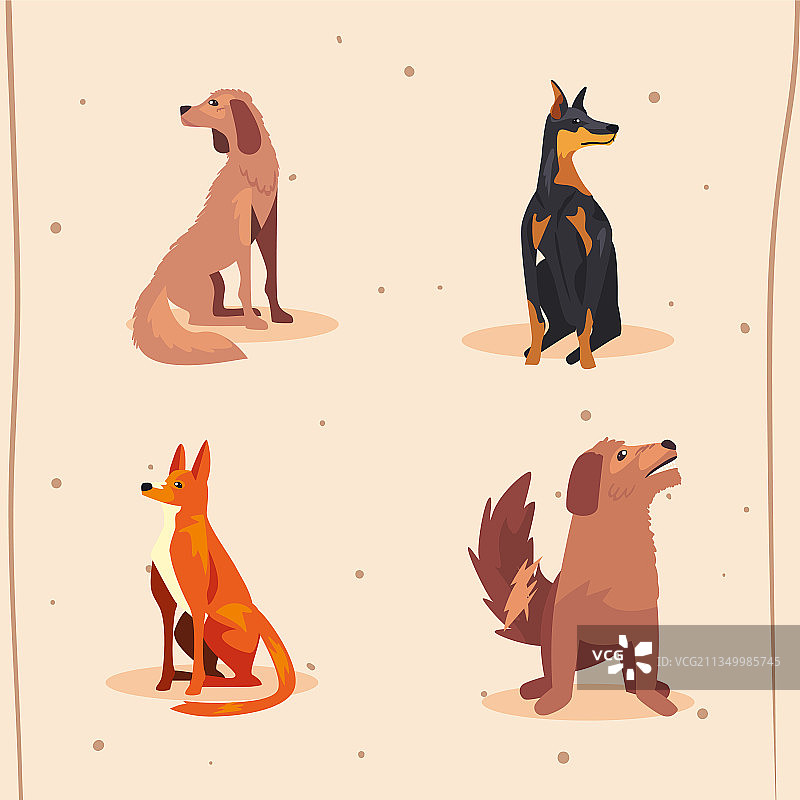 宠物狗群组图片素材