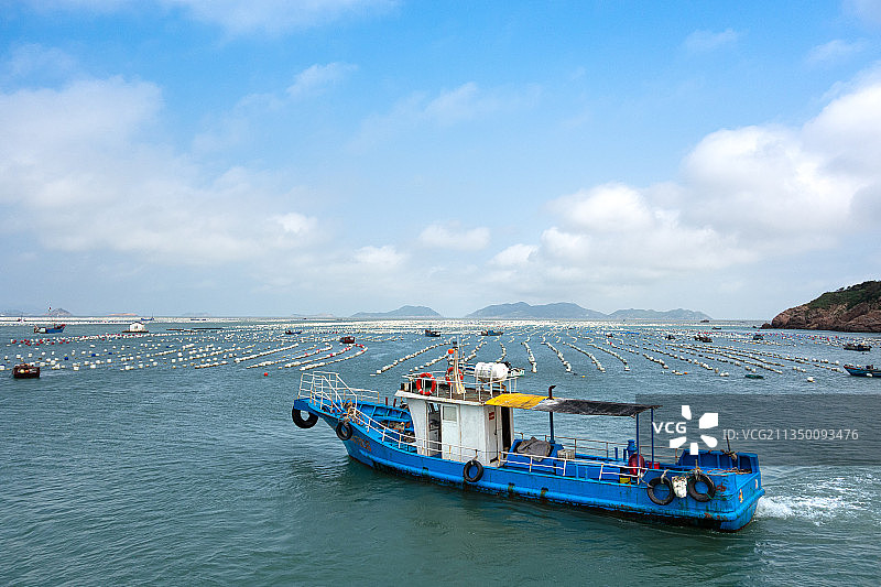 舟山嵊泗枸杞岛干斜码头附近的海上牧场，渔船正在收获贻贝图片素材