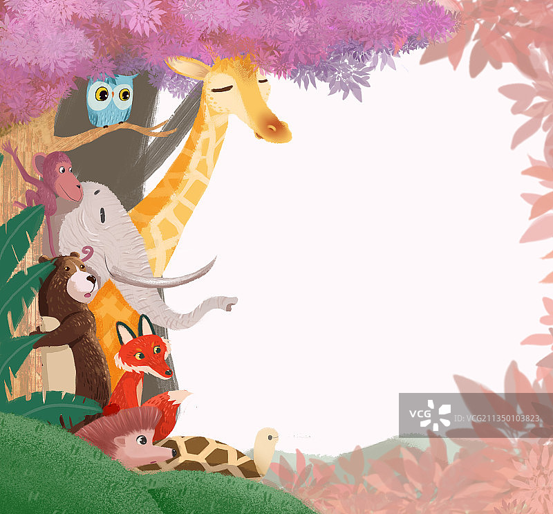 动物小世界图片素材