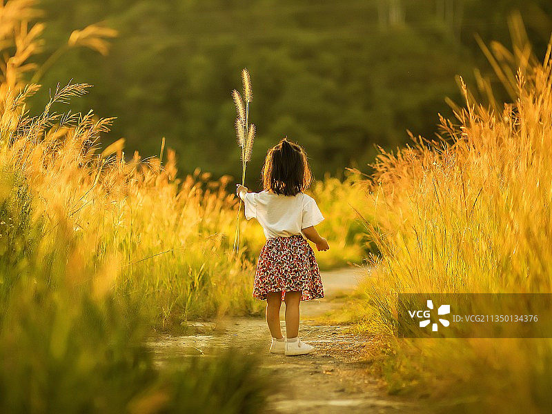 逆光下的女孩图片素材