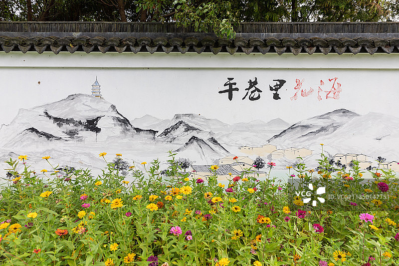 苏州平巷里花海图片素材
