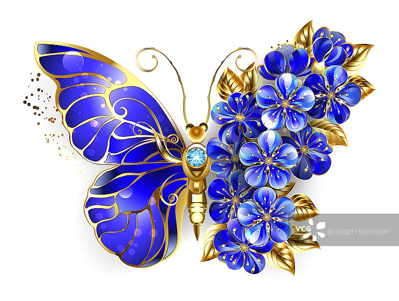 蓝宝石蝴蝶花图片素材
