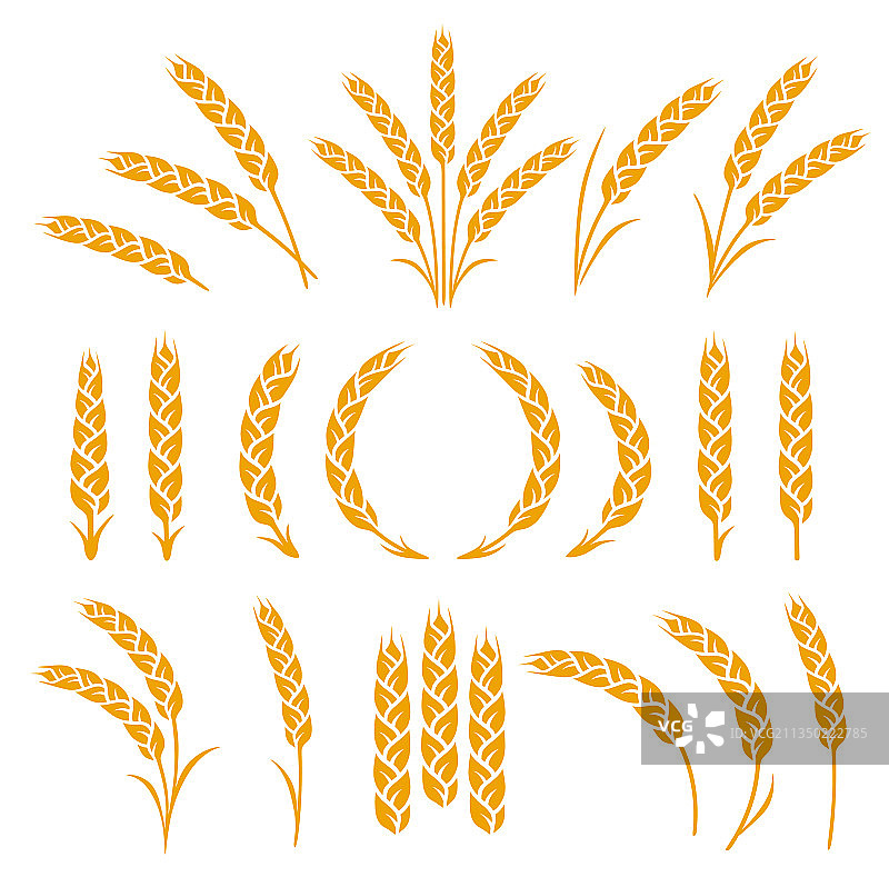 小麦黑麦大麦穗素材图片素材