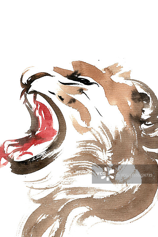 张嘴的狮子图片素材