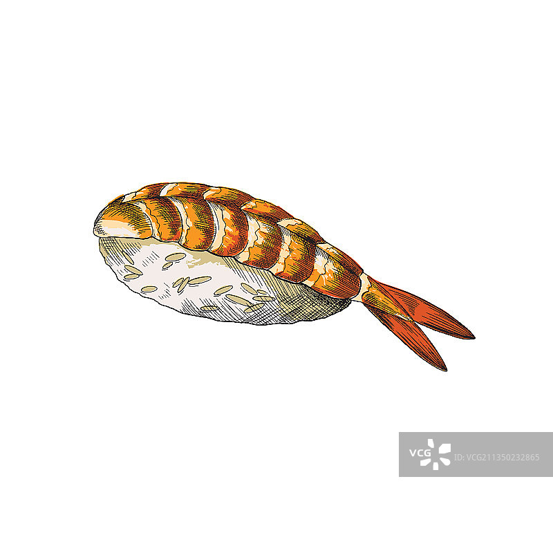 日式料理彩色鲜虾寿司图片素材