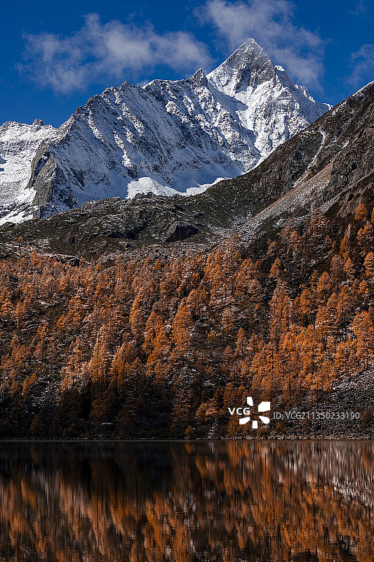 四川省丹巴党岭村葫芦海金色秋天图片素材