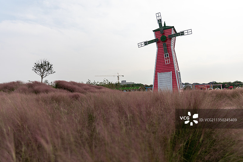 苏州平巷里花海图片素材
