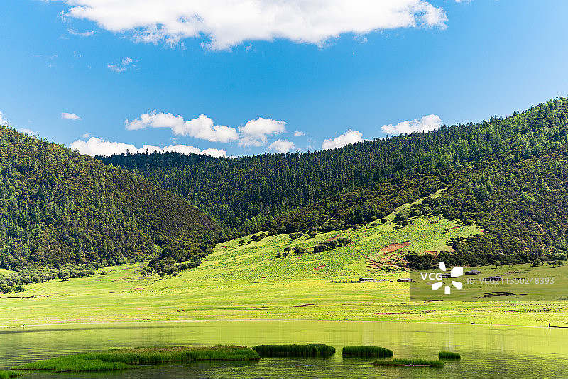 云南香格里拉普达措国家公园晴天风光图片素材