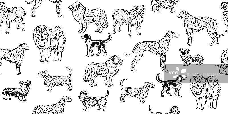 复古风格的狗品种合集无缝图案图片素材