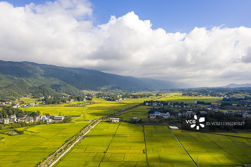 利川南坪万亩稻田丰收在望图片素材