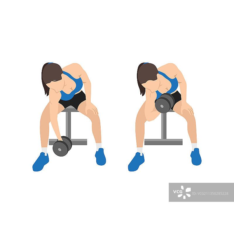 女人坐姿哑铃集中弯举图片素材