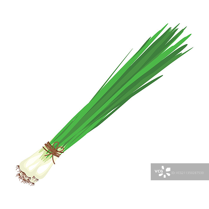 用绳子捆扎的葱图片素材