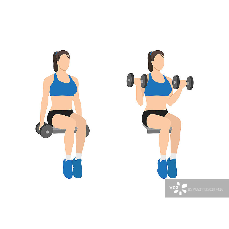 女人做坐姿哑铃二头肌弯举练习图片素材