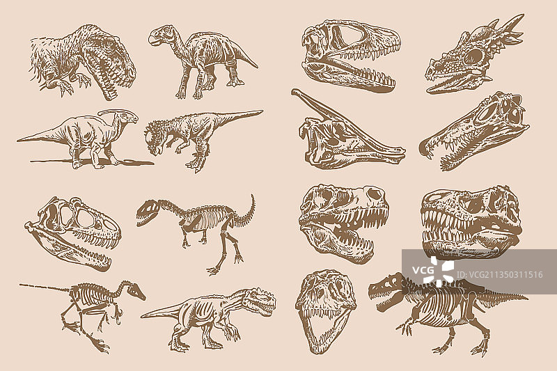 复古恐龙图案（棕褐色）图片素材