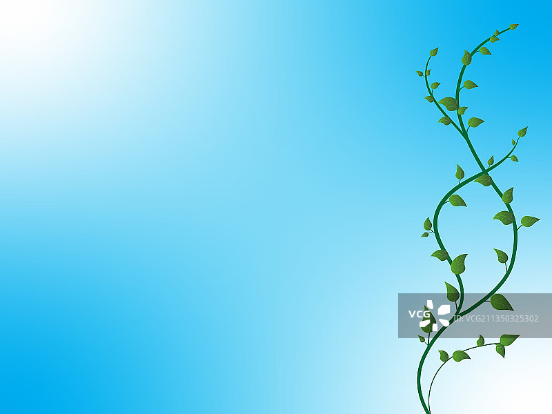 阳光下直入云霄的树木图片素材