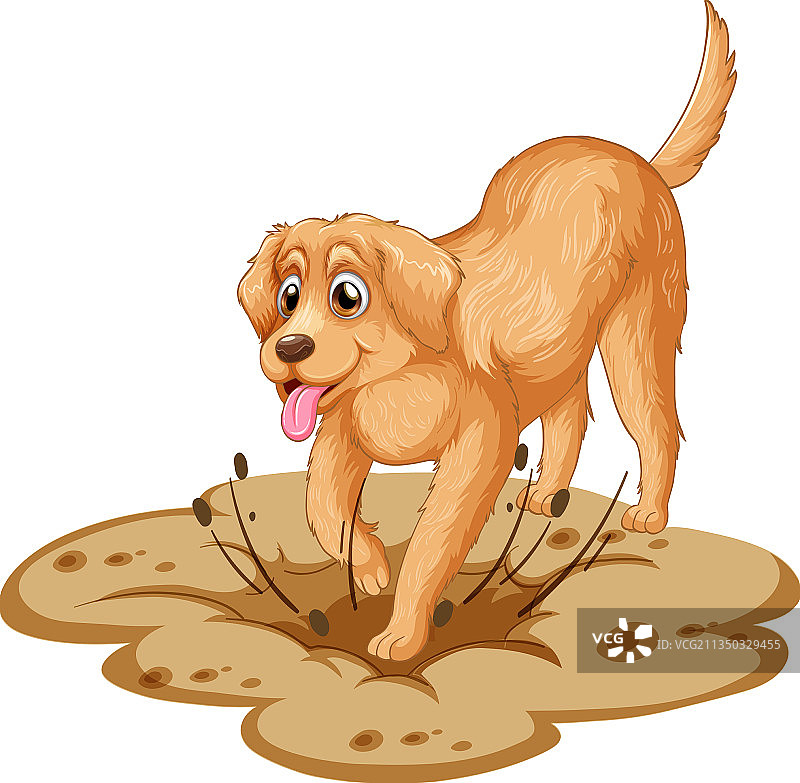 白色背景上的卡通金毛寻回犬图片素材