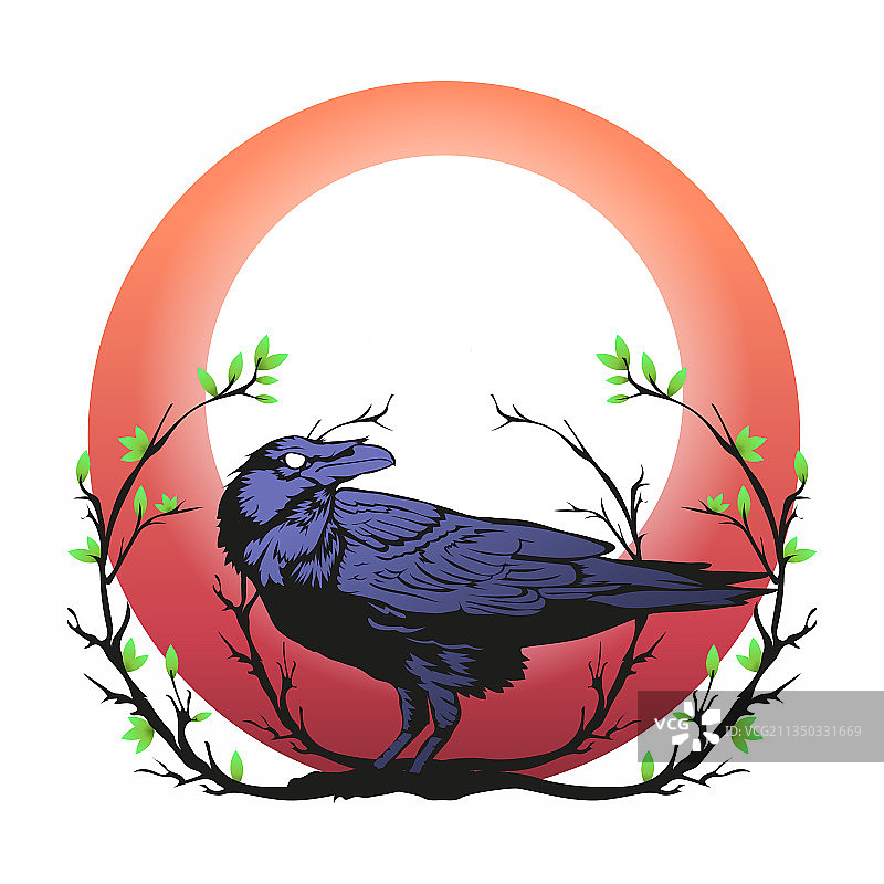 万圣节快乐：乌鸦图片素材