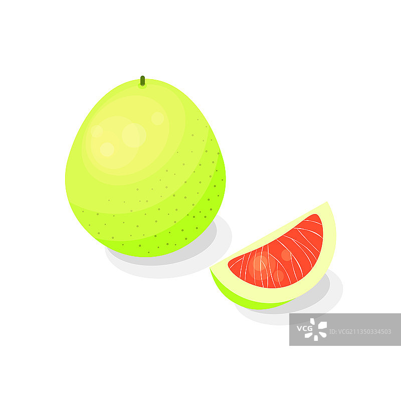 卡通风格的柚子图片素材