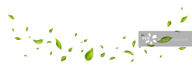 白色banner上的绿色飞叶图片素材