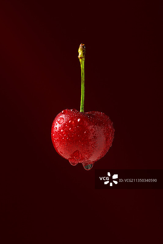 红蜜品种的樱桃图片素材