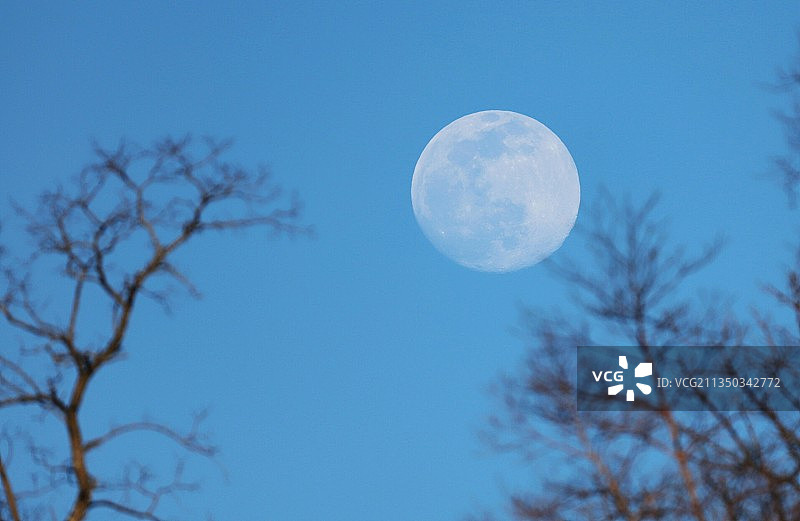 Moon 团圆图片素材