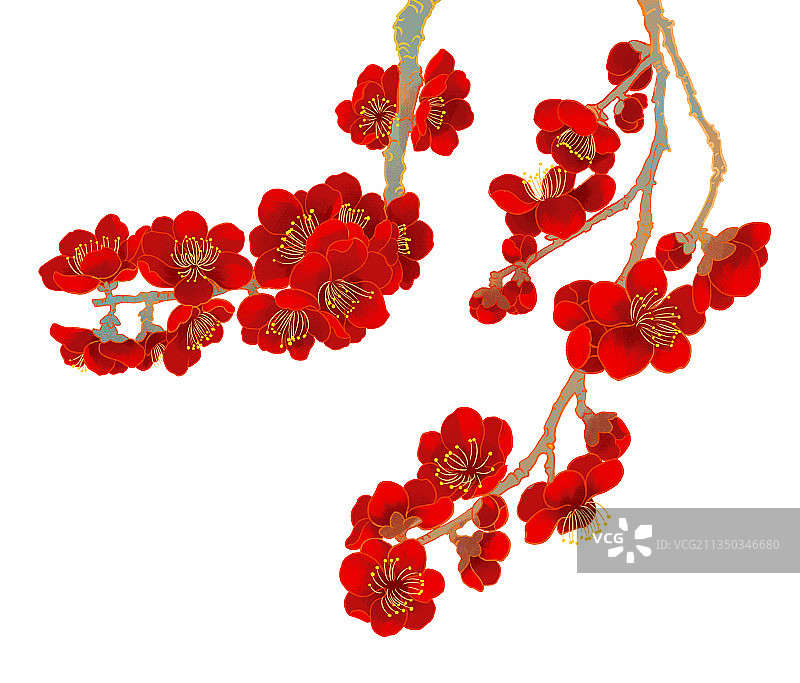 一月盛开的红梅花国潮插画图片素材