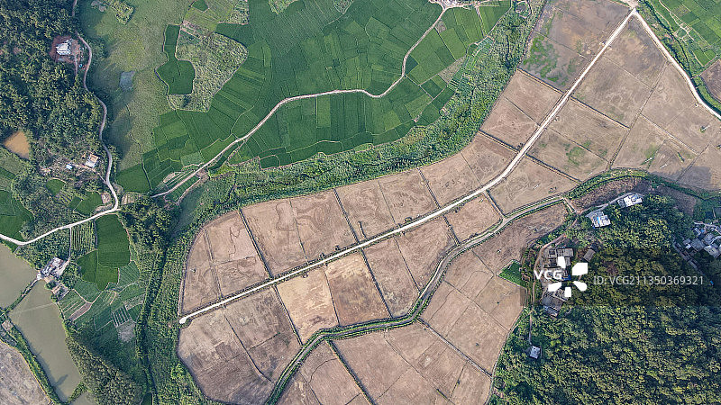 广东省肇庆市封开县长岗镇农村田园风光图片素材