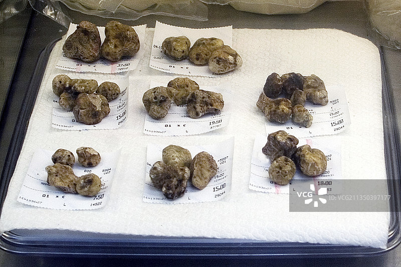 待售的白松露图片素材
