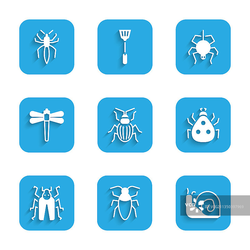 金龟子蟑螂蜗牛瓢虫图片素材