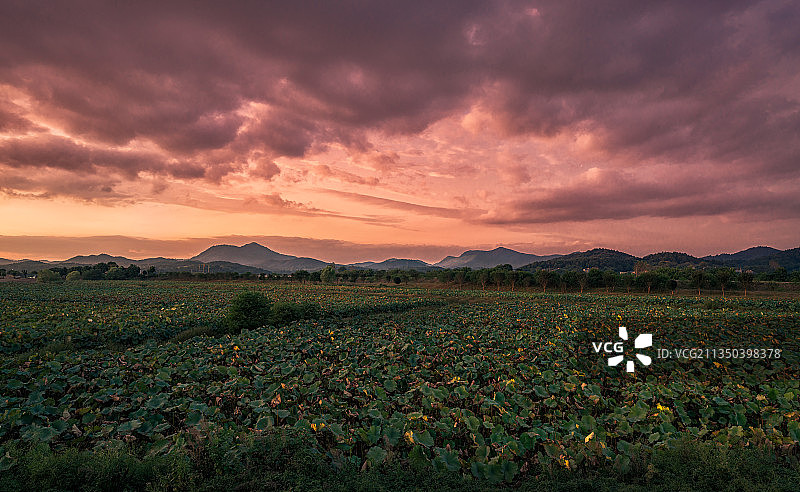 安徽铜陵市枞阳县图片素材