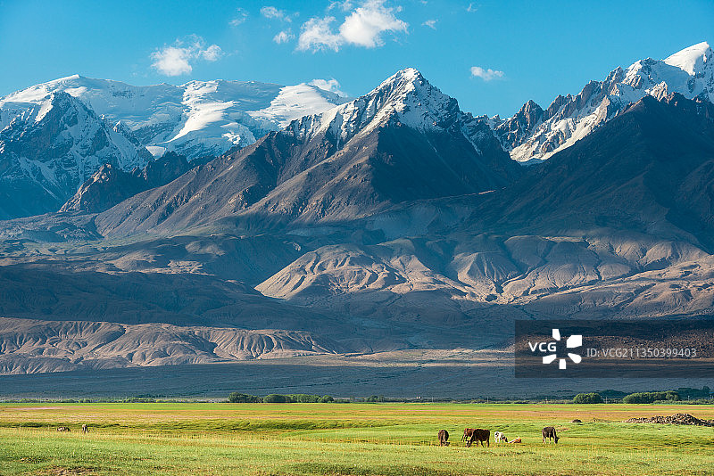 中国新疆喀什帕米尔高原牧场秋色雪山风光图片素材