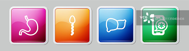 人类胃部精子器官肝脏线条图图片素材