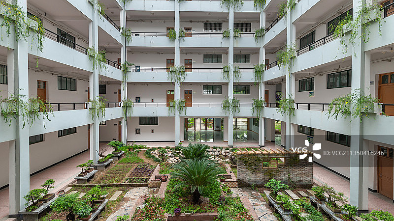 浙江丽水学院一座生态实验楼内的垂直绿化图片素材