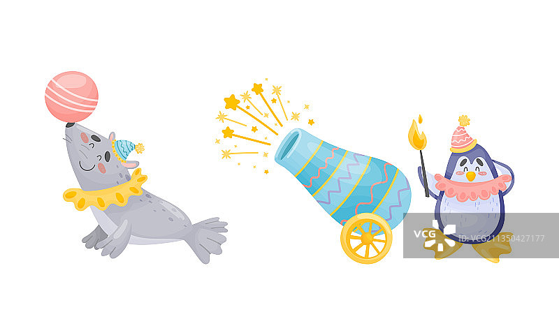 马戏团海豹和企鹅动物与球图片素材