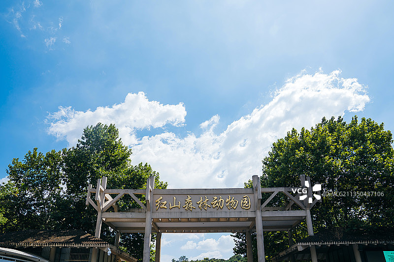 南京红山森林动物园图片素材