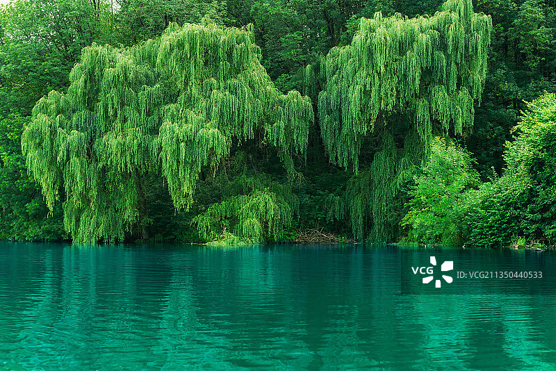 俄罗斯森林湖泊风光图片素材