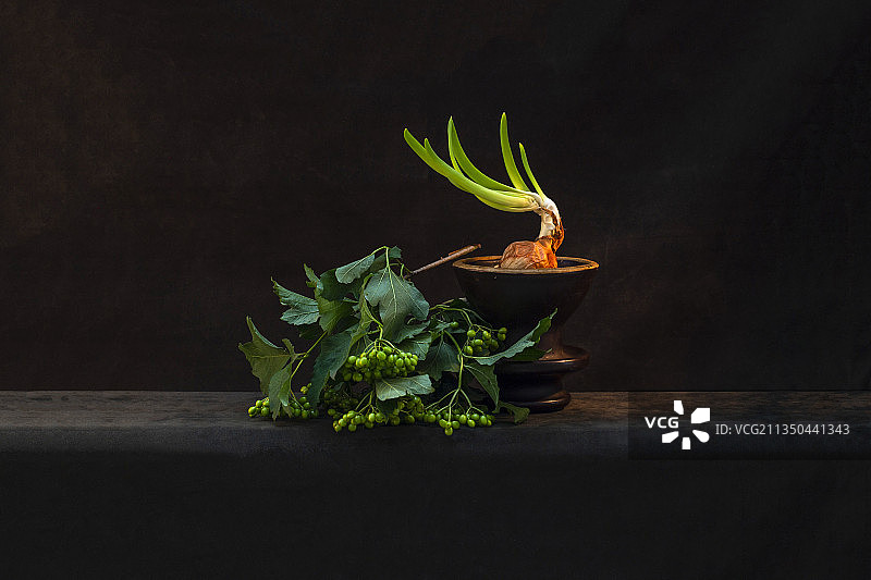 黑色背景下的桌上盆栽特写图片素材