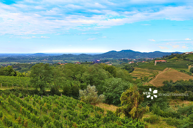 意大利戈里齐亚奥斯拉维亚农业景观图片素材