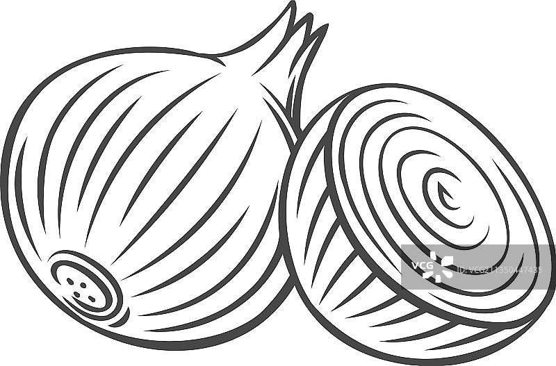 洋葱轮廓图标图片素材