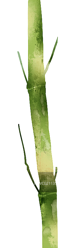 水彩竹子插画元素图片素材