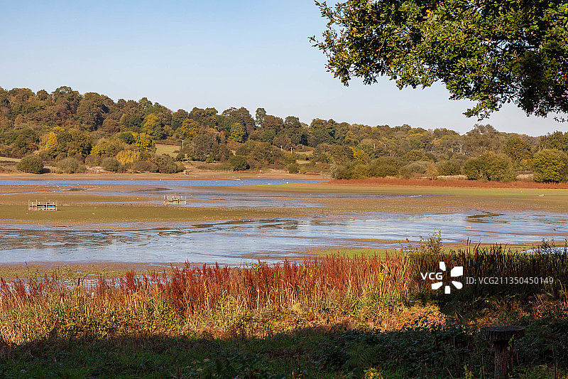 英国东格林斯泰德晴空下的湖泊美景图片素材