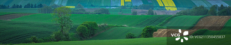 波兰农田全景图片素材