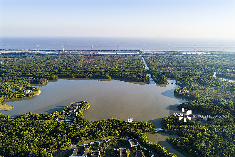 上海临港，上海海湾国家森林公园图片素材