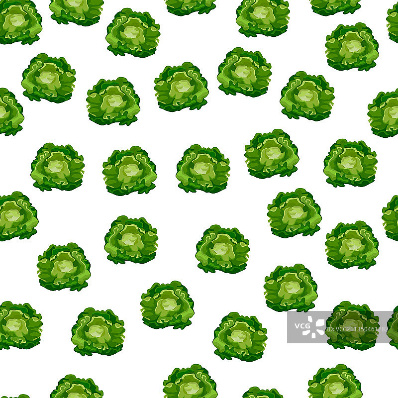 白底结球生菜无缝图案图片素材