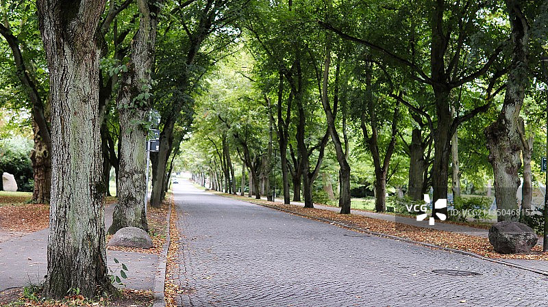 德国公园内的空旷道路图片素材